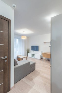 Parlak ve rahat oturma odasında modern dekorasyon, gri bir kanepe ve zarif ahşap döşemeler var. Modern Mobilya ve Ahşap Döşemeli Modern Ev Oturma Odası