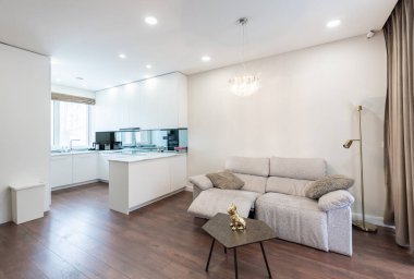 Modern Ev Oturma Odası. Lüks modern apartman dairesi. İç mekan, kanepe, mobilya, İskandinav tasarımı. Arka plandaki mutfak. Geniş Açı