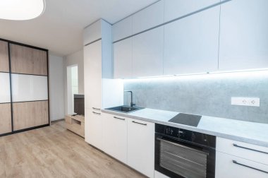 Klasik Parlak Ev Oturma Odası ve Mutfak İçi. Fırın, lavabo, dolaplar. TV ekranı ve gardırop dolabı. İskandinav Tasarımı. Led Lights, Hardwood Zemini. Beyaz Duvarlar. Geniş Açı