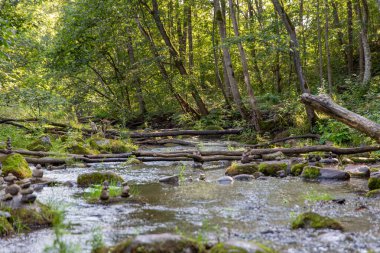 Sakin orman akıntısı, yemyeşil çimlerin arasından süzülen güneş ışığıyla harmanlanır ve sakin bir doğal manzara yaratır. Yığılmış kayalar dereyi kaplıyor. Ormandaki nehir