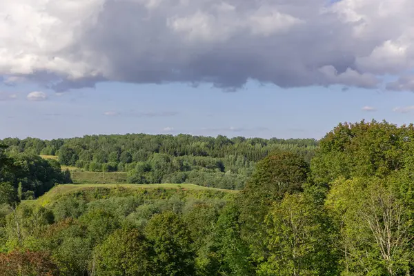 Güneşli bir günde, parçalı bulutlu bir mavi gökyüzünün altında, doğal güzellik ve sükuneti gösteren yemyeşil bir orman. Litvanya