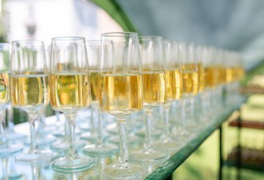 Güneşli bir açık hava toplantısında yansıtıcı bir yüzeye düzgünce yerleştirilmiş birkaç bardak köpüklü şampanya, neşeli bir atmosferi ön plana çıkarıyor..