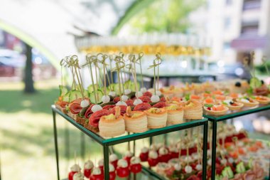 Kutlama için dekoratif tepsilerde sergilenen çeşitli aperatifler ve parmak yiyeceklerin zarif bir düzenini sunan bir açık hava yemek seti..