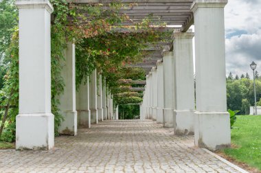 Çakıl taşı yolu beyaz sütunlar ve yemyeşil bir pergola ile kaplı doğal bir açık havada sakin bir bahçe ortamı yaratıyor.