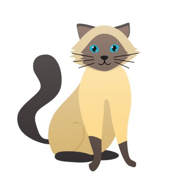 Siamese breed cat. Domestic fluffy friend, family feline pet vector cartoon illustration