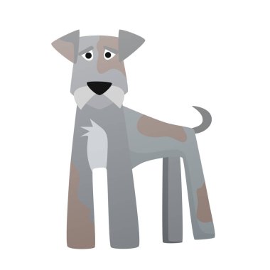 Minyatür schnauzer köpeği. Yavru köpek, aile sadık sevimli hayvan vektör çizimi.