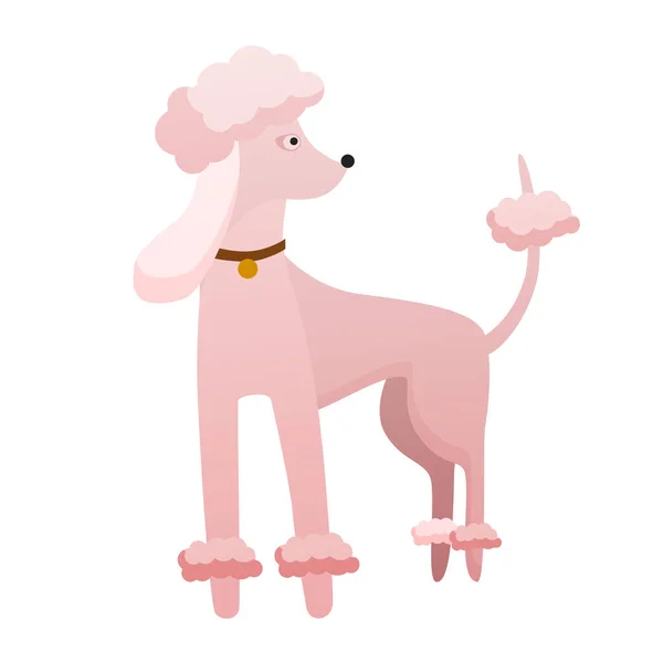 スタイリッシュなプードル犬 国内の忠実なペット 家族の子犬の友人のベクトル漫画イラスト — ストックベクタ