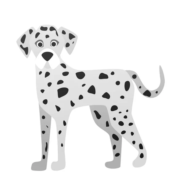 Dalmatský Plemenný Pes Rodinný Krásný Mazlíček Roztomilý Pejsek Přítel Vektor — Stockový vektor