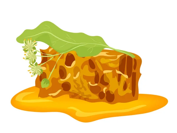 Φέτα Κηρήθρας Φυσικό Μέλι Μελισσοκομία Αγρόκτημα Μελισσοκομική Βιομηχανία Διανυσματική Απεικόνιση — Διανυσματικό Αρχείο