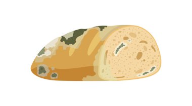 Bozuk ekmek. Çürük gıda ürünü, organik gıda atıkları vektör çizimi