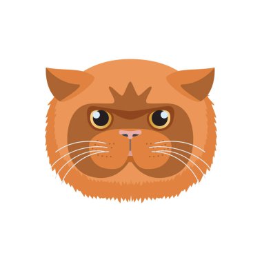 Egzotik Shorthair kedi yüzü, yuvarlak ağızlıklı ve tam yanaklı vektör çizimi olan kırmızı kedi yavrusu kafası.