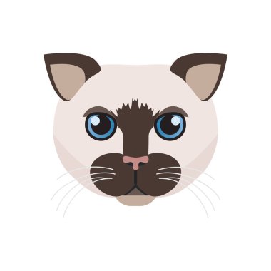 Siyam kedisi suratı, tatlı bir kısayol hayvanı başı, kedi portresi çizimi.