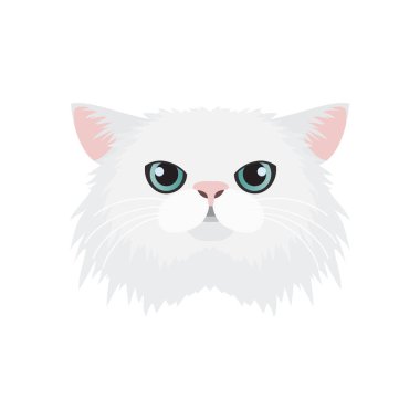 İranlı kedi yüzü, portre çizimi üzerinde beyaz, uzun saçlı kedi kafası.