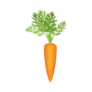 Taze organik turuncu havuç, yumru ve olgun sebze temsili yeşil yapraklar.