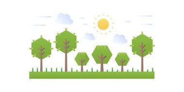 Güneşin altında büyüyen ağaçlarla basit orman manzarası.