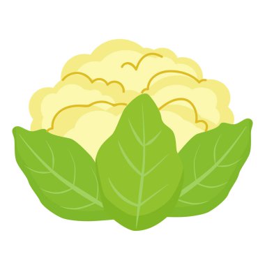 Yeşil yapraklı, detaylı ve izole edilmiş karnabahar sanatı..