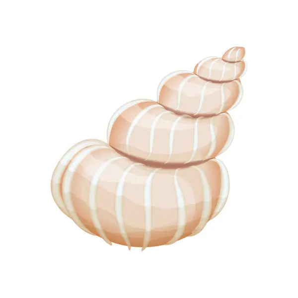 stock vector Detailed vector illustration of a beige spiral seashell with smooth texture.