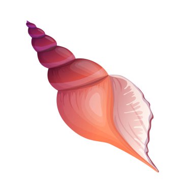 Zarif bir deniz kabuğunun temsili. Karmaşık desenleri ve pürüzsüz bir sonu var..