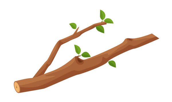 Векторная иллюстрация деревянной ветки с зелеными листьями. Идеально подходит для природоохранных, экологических и ботанических проектов.