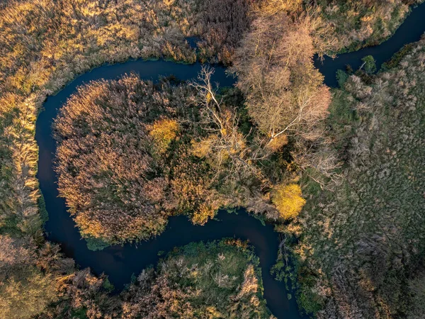 夕日に照らされたグラビア川の秋の始まり ポーランド — ストック写真