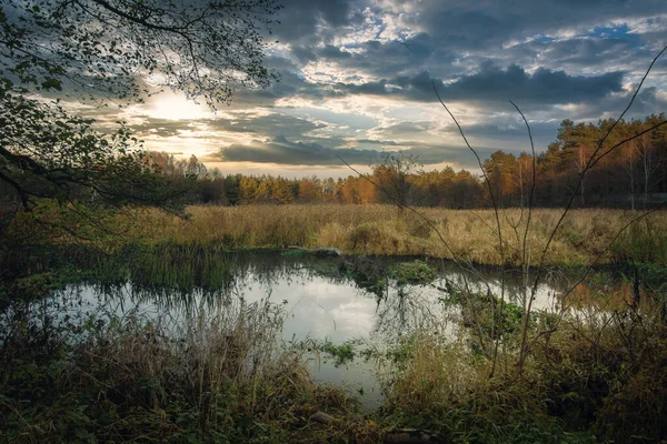 Осенние Цвета Реки Грабия Освещенные Заходящим Солнцем Польша — стоковое фото