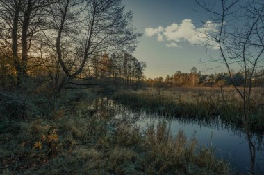 Grabia Nehri kıyısında sonbahar renkleri, batan güneş, Polonya.