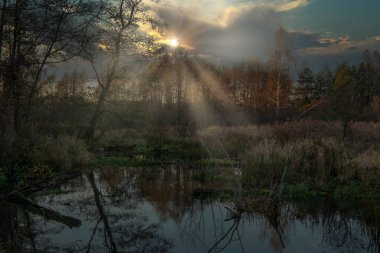 Grabia Nehri kıyısında sonbahar renkleri, batan güneş, Polonya.