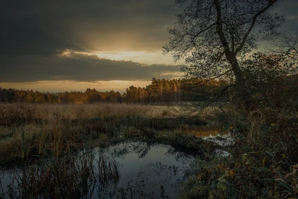 Водоспад Біля Річки Грабії Освітлений Сонцем Заходить Польща — стокове фото