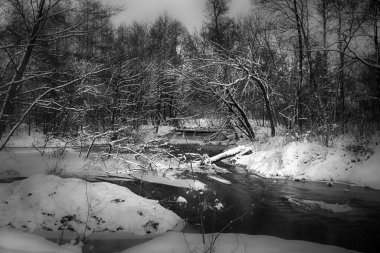 Kar ve kış beyaz ve siyah renklerde.