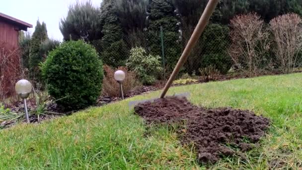 Çimlerde Bir Köstebek Tepeciği Kazıyorum — Stok video