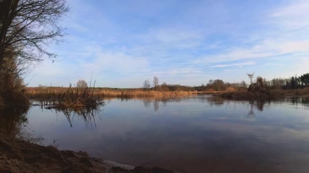 Malá Divoká Řeka Grabia Vidět Vodní Hladiny — Stock video