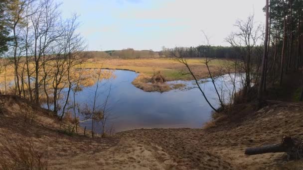 Beginning Snowless Winter Small River Central Poland — Video