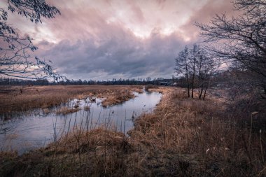A small, wild river Grabia in central Poland.