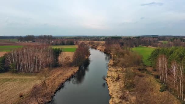 Řeka Widawka Jaře Polsko — Stock video