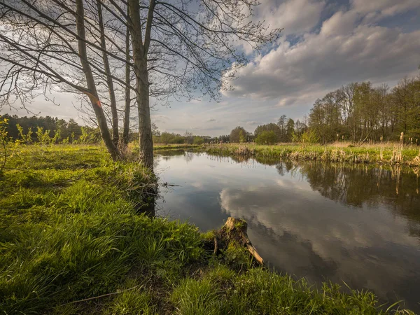 stock image Spring on the small wild river Grabia in central Poland.