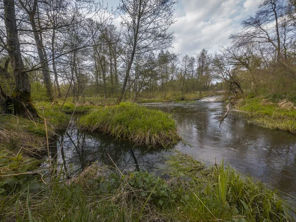 Primavera Pequeno Rio Selvagem Grabia Centro Polônia — Fotografia de Stock