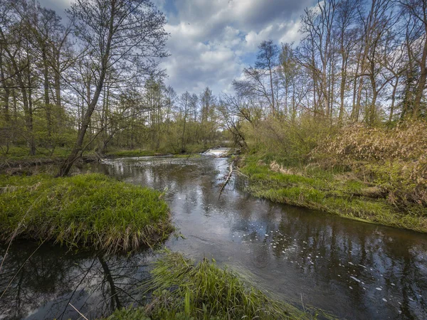 ポーランド中央部の小さな野生の川グラビアの春 — ストック写真