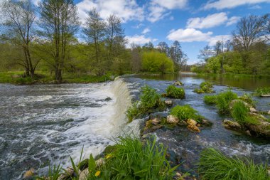 Polonya 'nın Warta Nehri kıyısında ilkbahar.