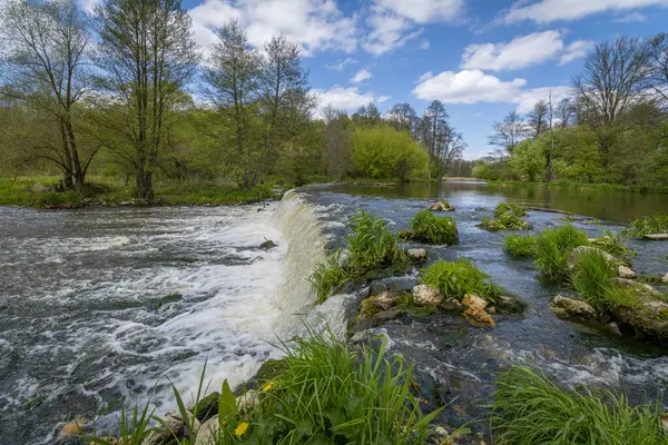 stock image Spring on the banks of the Warta River, Poland.