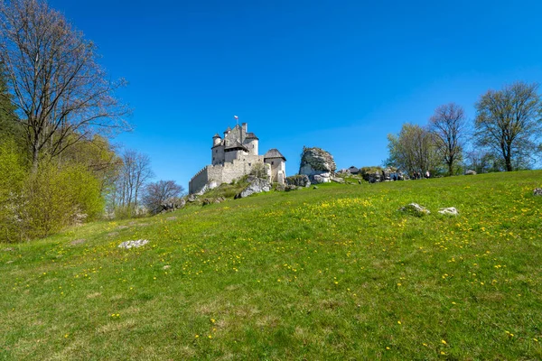 Замок Деревне Боболице Польша — стоковое фото