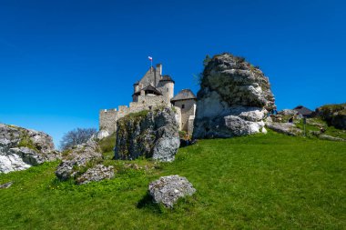 Polonya 'nın Bobolice köyündeki kale..