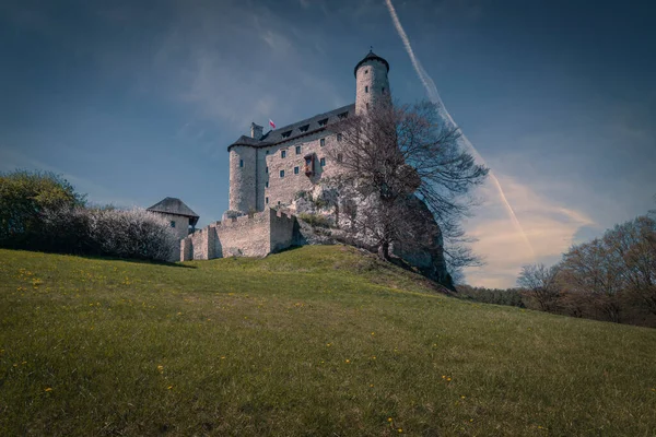 Κάστρο Στο Χωριό Bobolice Πολωνία — Φωτογραφία Αρχείου