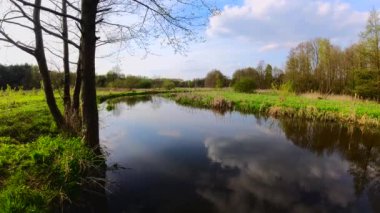 Küçük vahşi nehre bahar Grabia, Polonya.