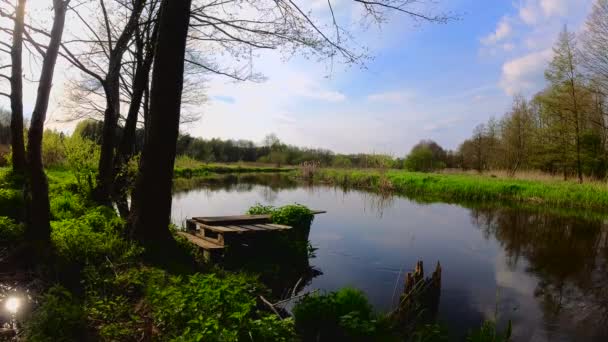 Forår Den Lille Vilde Flod Grabia Polen – Stock-video