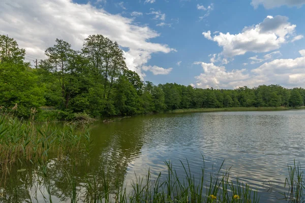 Шаг Малый Озеро Расположенное Мазурском Озерном Районе Польша — стоковое фото