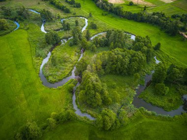 Orta Polonya 'daki küçük kıvrımlı Grabia nehri.