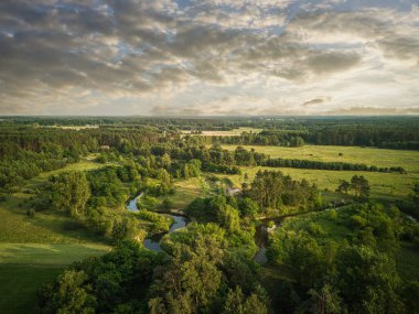 Orta Polonya 'daki küçük kıvrımlı Grabia nehri.
