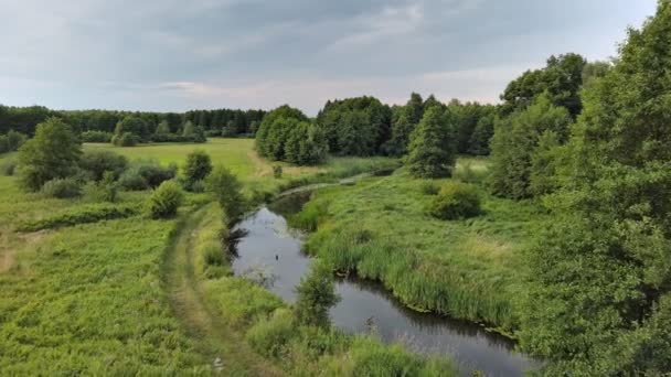 ポーランド中央部の小さな巻き川グラビア — ストック動画