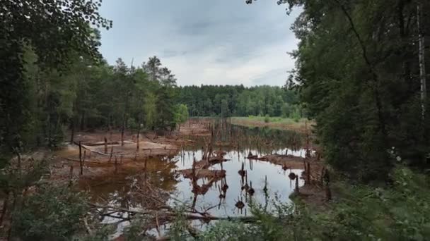 Leknica Färgglada Geopark Sjöar Polen — Stockvideo