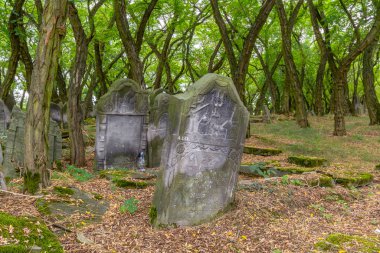 Çok eski ve terk edilmiş Yahudi mezarlığı, Zdunska Wola, Polonya.